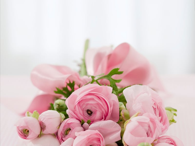 Botanical decor ideas