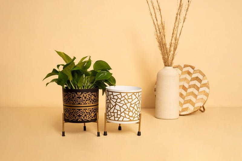 Hanging planters with green plants